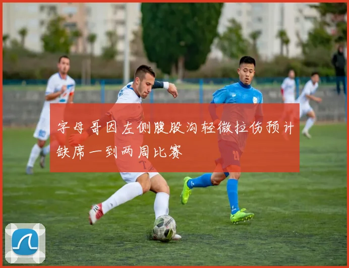 字母哥因左侧腹股沟轻微拉伤预计缺席一到两周比赛