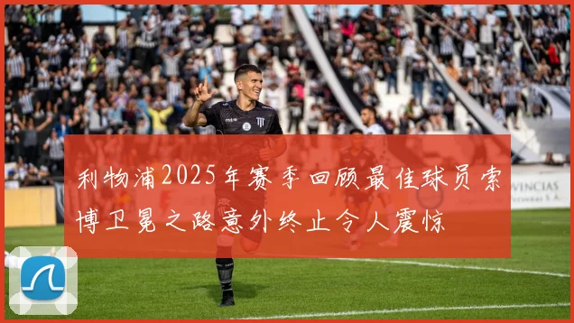 利物浦2025年赛季回顾最佳球员索博卫冕之路意外终止令人震惊