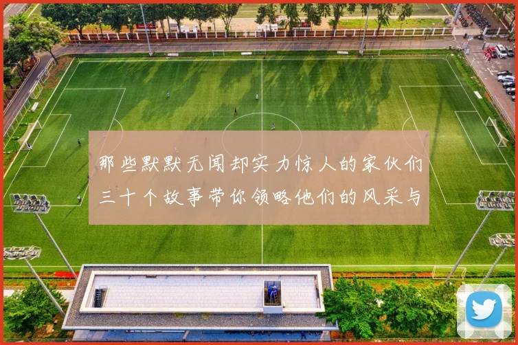 那些默默无闻却实力惊人的家伙们三十个故事带你领略他们的风采与传奇