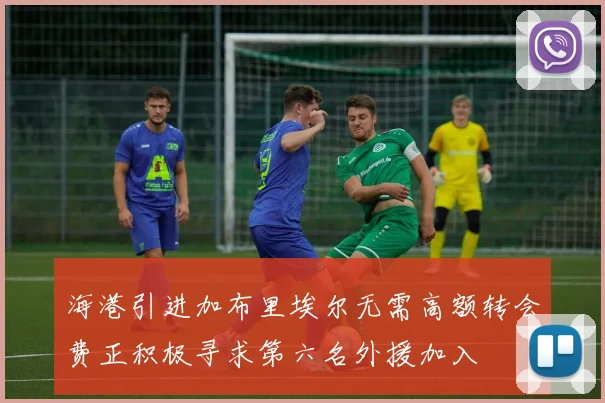 海港引进加布里埃尔无需高额转会费正积极寻求第六名外援加入